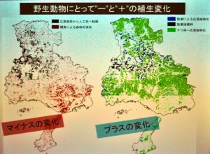 s-植生変化と動物への＋－