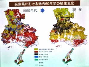 兵庫県の植生変化１９５０－２０１０