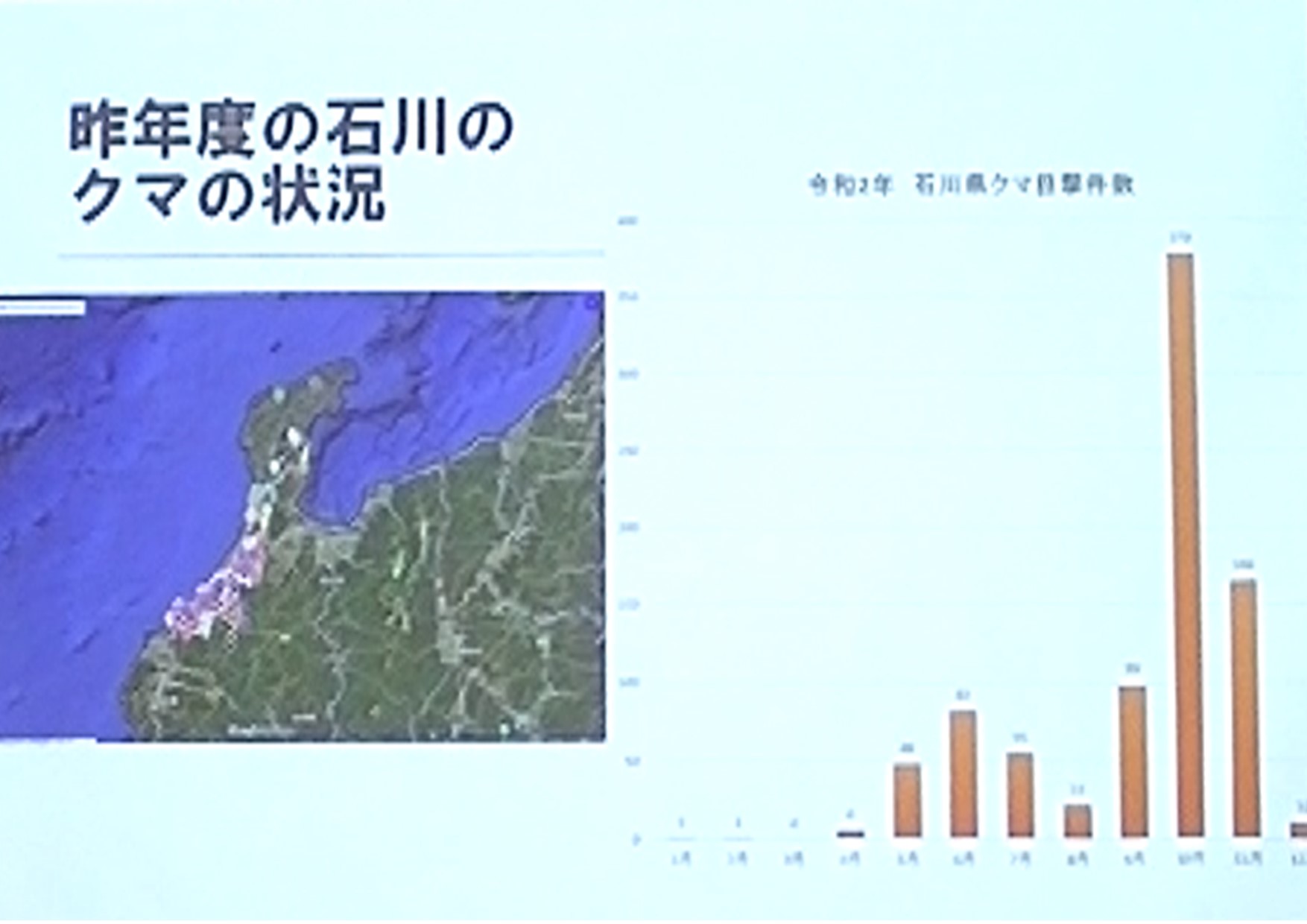 ダイナマイトチャンネル 食い込み くまもりNews