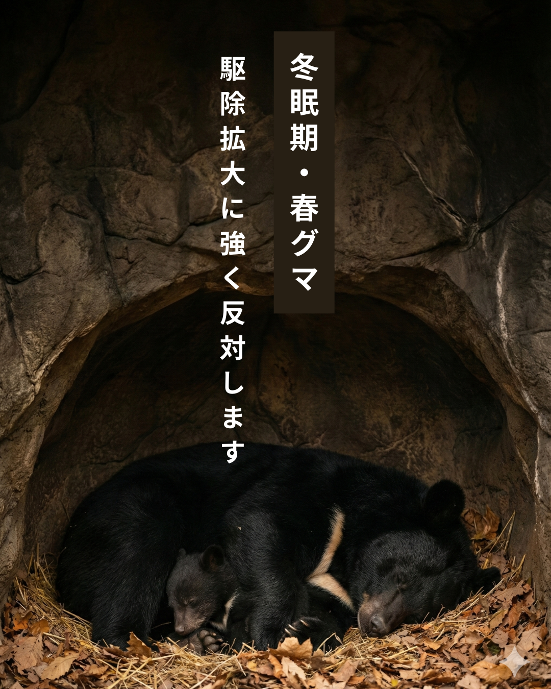 07c6920e4dd2ac239f75ed6b0862ed9e-1764903468.png 07c6920e4dd2ac239f75ed6b0862ed9e-1764903468.png