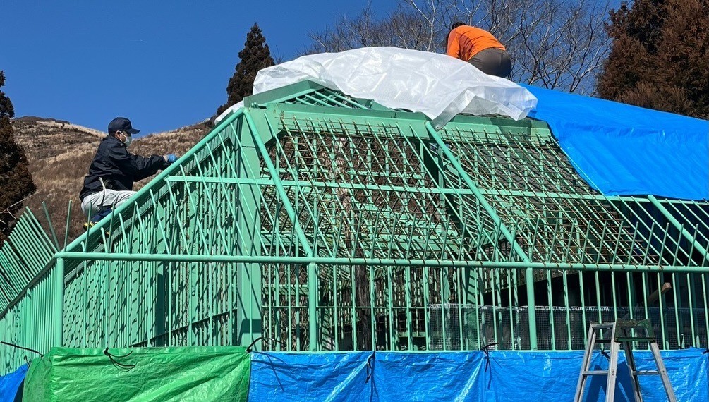 75d841c6fe781cf93c788825891db3fc-1771893435.jpg 75d841c6fe781cf93c788825891db3fc-1771893435.jpg