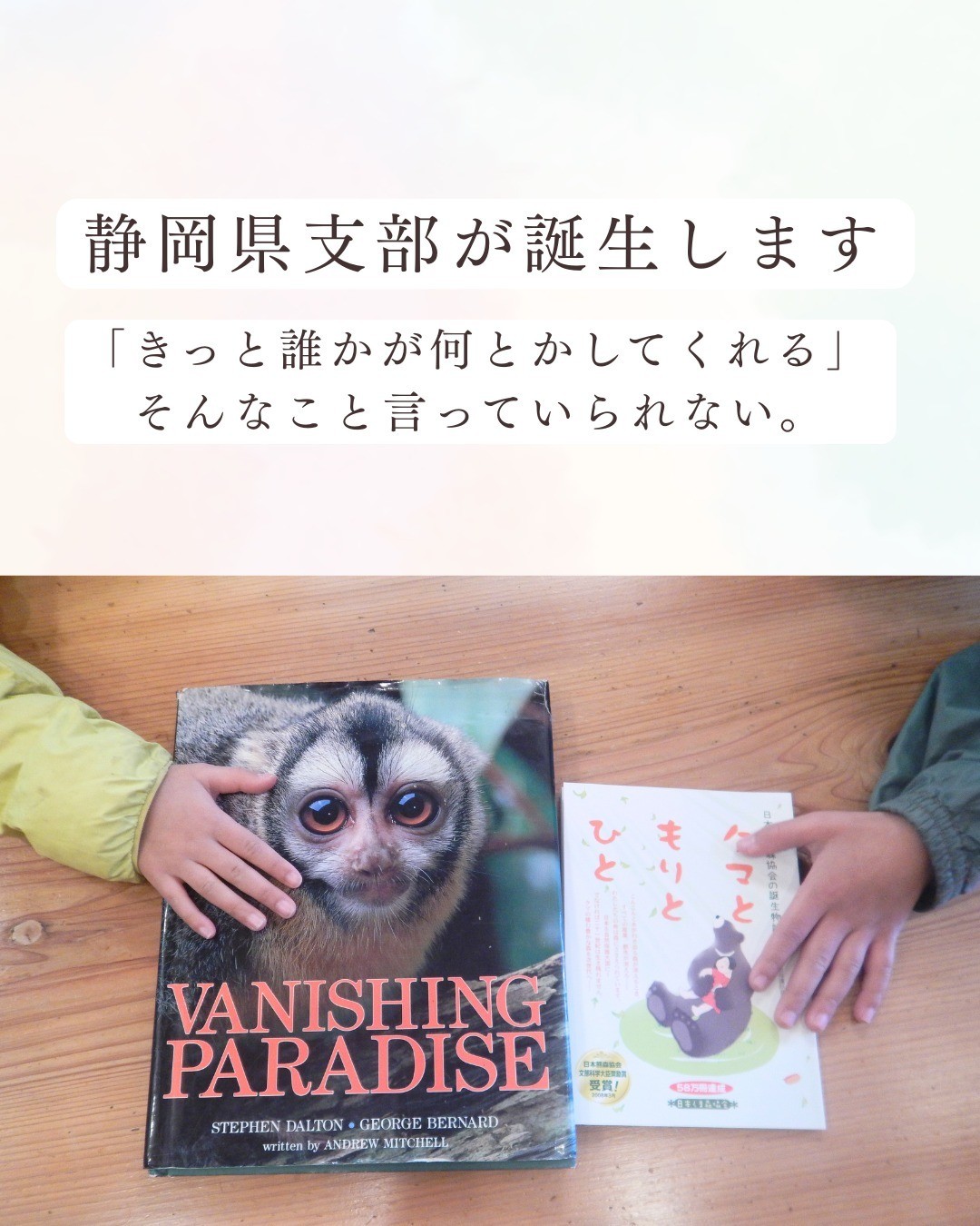 2a2a2af08695dd6a9eade686f732a2ec-1772156894.jpg 2a2a2af08695dd6a9eade686f732a2ec-1772156894.jpg