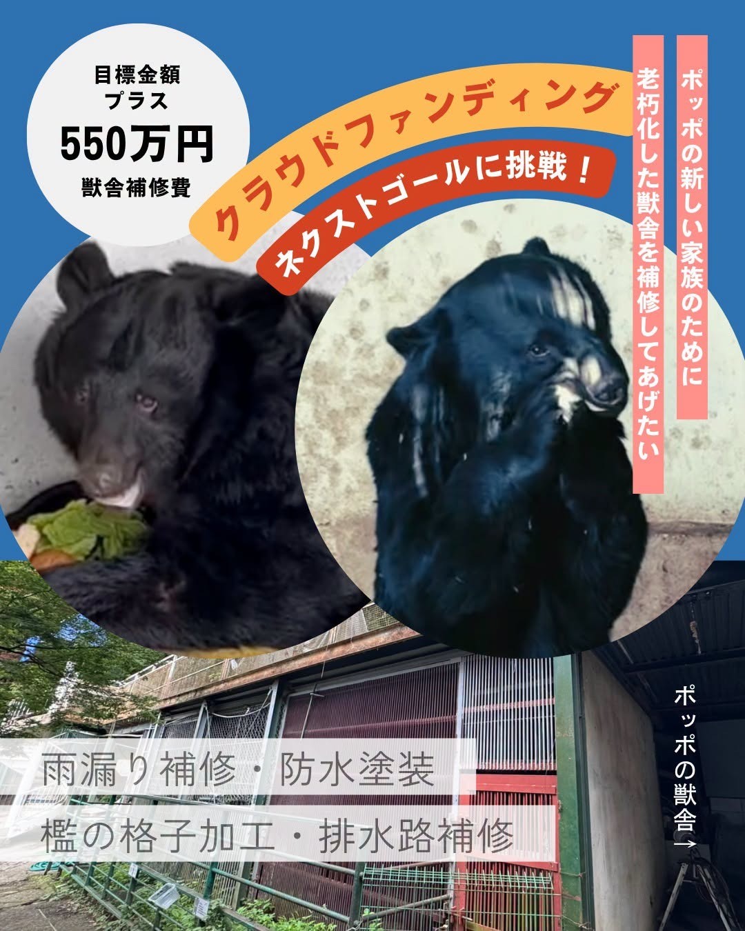 615ab740275e43ef3dea1abebade2211-1781763545.jpeg