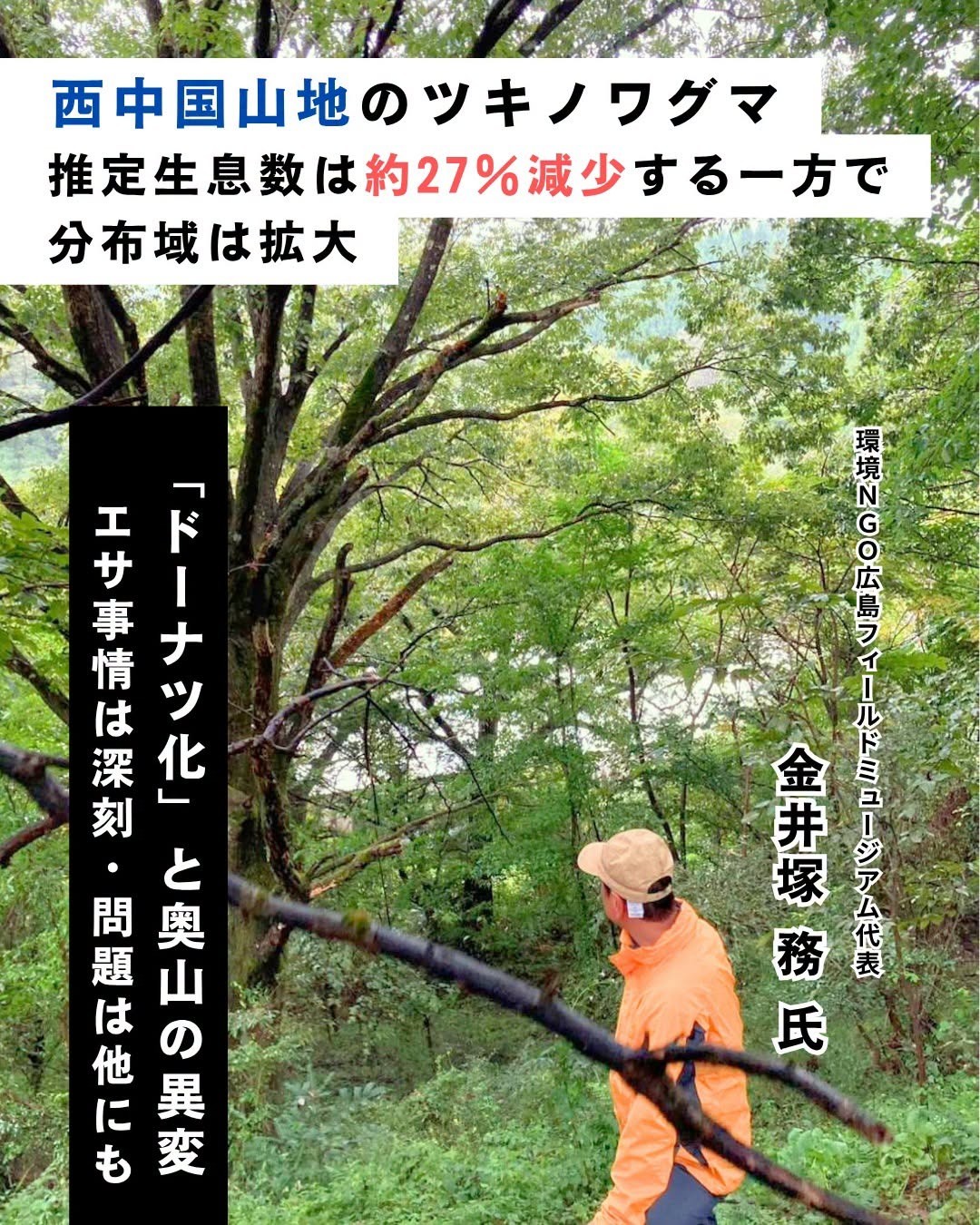 76bb9723858da6c8a0d13215ae4b619e-1792722647.jpeg