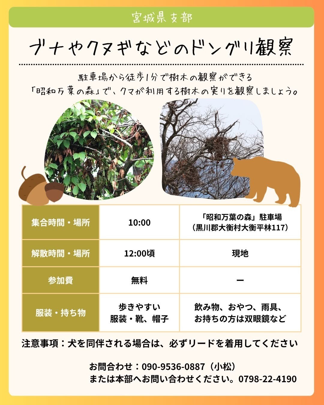 10月17日(土)は秋のフィールドの日🍁全国9支部が工夫を凝らした野外活動を一斉開催します！